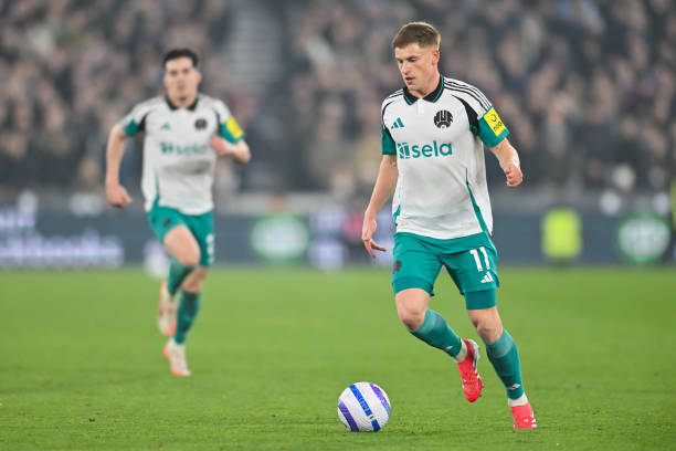 东契奇职业 东契奇职业